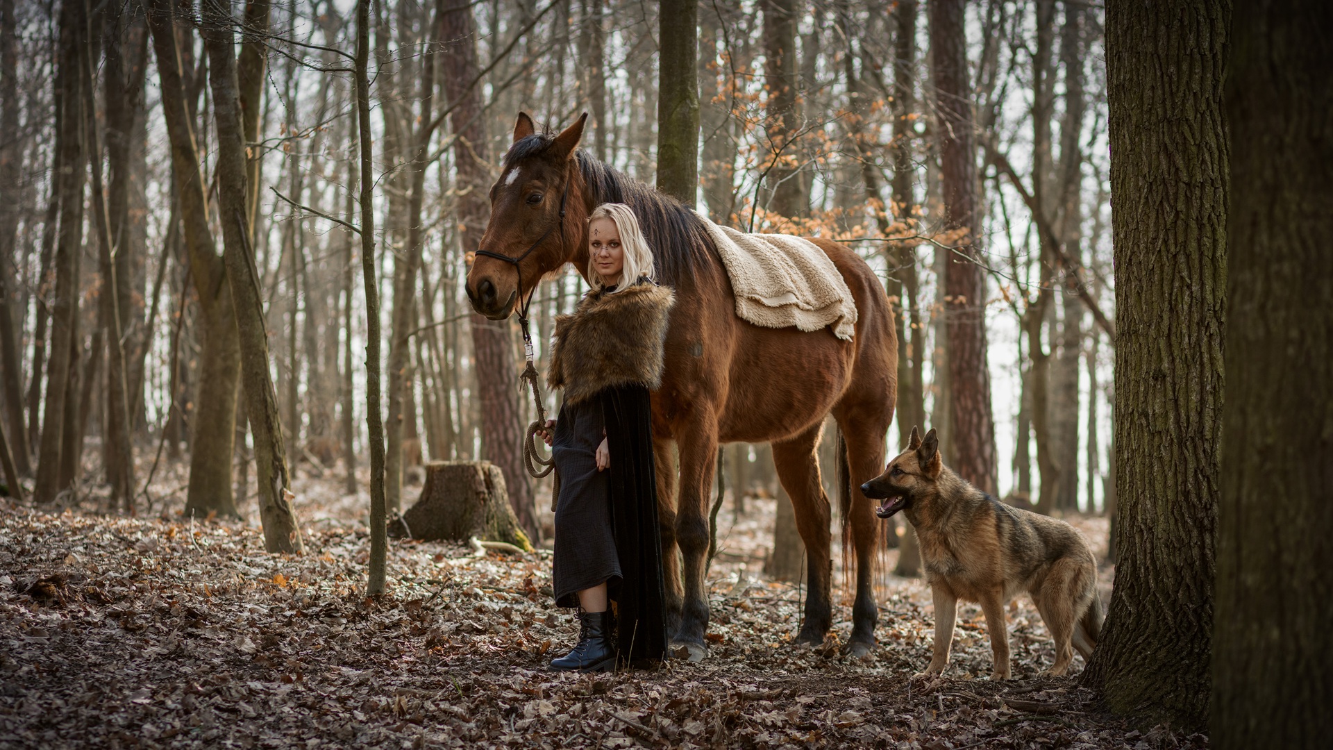 Fantasy portrét s koněm