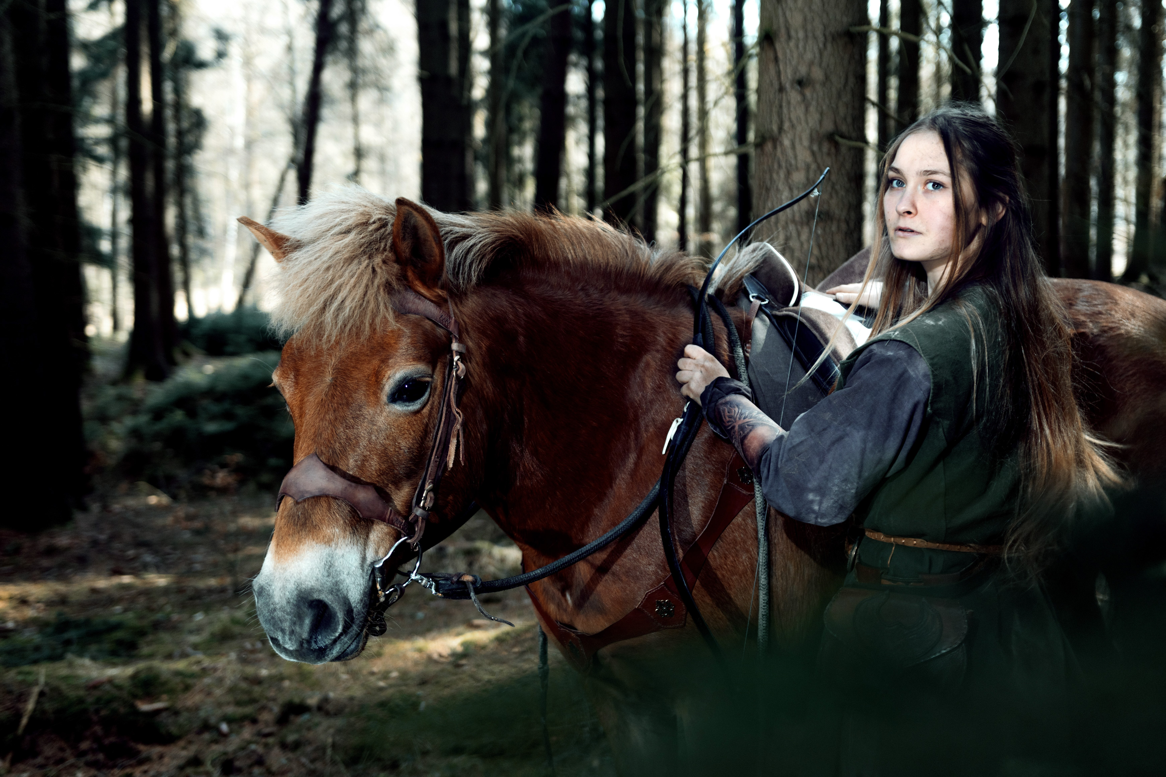 Fantasy portrét s koněm